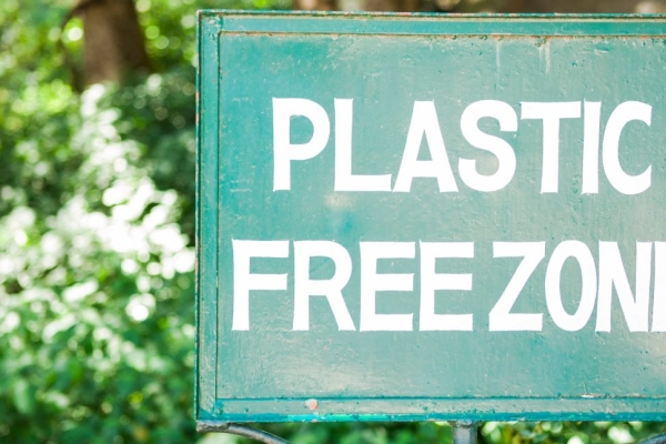 A green sign in front of a green plant with white flowers that reads plastic free zone